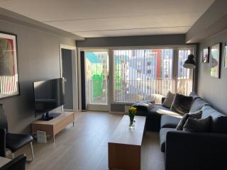 Modern 2 bedroom apartment in Oslo city centre - Oslo - 8