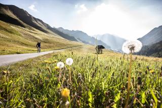 Soliva Hotel & Apartments by MEIN SAMNAUN - MOUNTAIN HOMES - 4