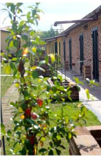 Agriturismo Sentiero delle Fiabe - Sirolo - 9