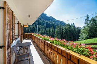 Bachwiesl Hof Apt Ocker - 6