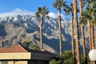 Sunrise Palms Paradise - Palm Springs - 3