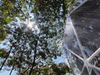 Glamping romantico en Vista Hermosa disfruta de la naturaleza en un ambiente privado y acogedor - 6