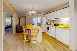 Sea Terrace 803 - Ocean City - 5