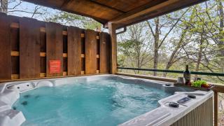 Lazy Bear Den - Sevierville - 8