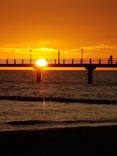 Ferienwohnung Kranichnest mit Hühnerhof - Zingst - 1