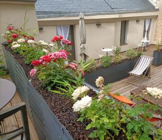 Villa Buffon - Angers - 9