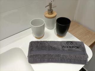 Villa Buffon - Angers - 7