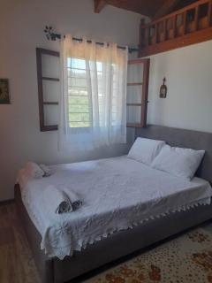 Sunshine Villa - 2