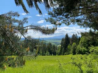 Apartament Pod Zamczyskiem - 8