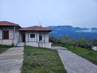 Ελαιώνας με θέα στο βουνό - - 0