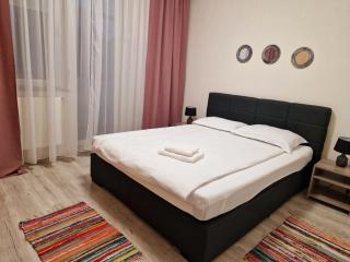 ORI Modern Apart Malul Muresului , Arad - Arad - 5