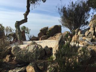 Casa La Gavina Blanca - Tossa de Mar - 5