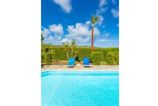 Villa Christia Maris - Neo Chorio - 4