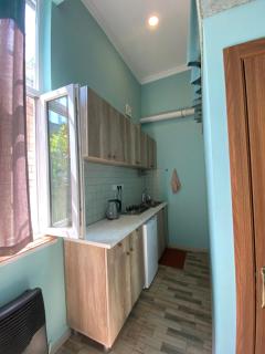 Eli’s home - Borjomi - 3