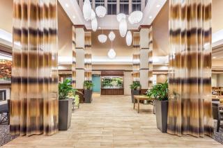Hilton Garden Inn Gainesville - Gainesville - 6