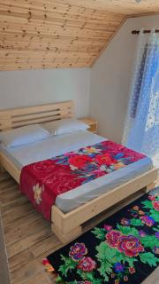 Bujtina Kometa - 6