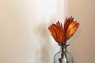 Le Grenoblois - Hypercentre - Grenoble - 9