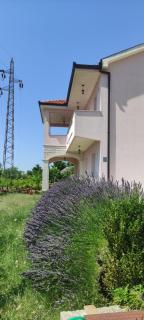 Sun garden apartment - Trebinje - 9