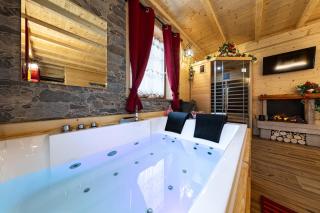 AL RANCH WELLNESS CADORE DOLOMITI APARTMENTS vicino Cortina Olimpiadi 2026 e Misurina Tre Cime Lavaredo - 1