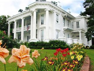 Hilton Garden Inn Meridian - Meridian - 7