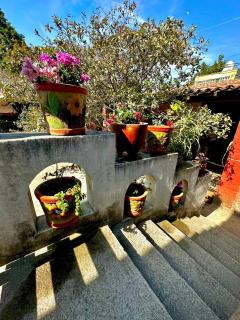 Vive en un rancho - Puebla - 3