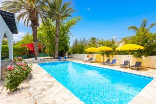 Villa Anemone - Polis Chrysochous - 8