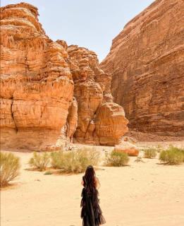 Golden sunset luxury camp - 3