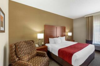 Comfort Inn & Suites - Rapid City - 2