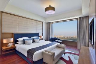 Radisson Blu Hotel, Indore - 8