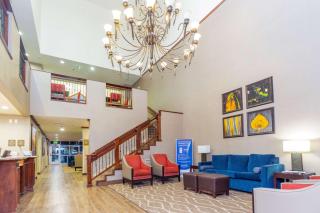 Comfort Inn Downtown - Salt Lake City - 6