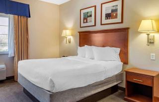 Extended Stay America Suites - Houston - Kingwood - 1