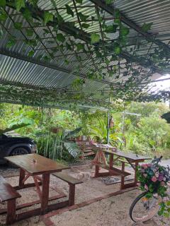 Glamping Rio Celeste Heliconia - San Rafael - 8