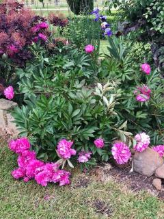 ‘Invercarron’ (20 mins to MONA, 30 mins to CBD) - 6