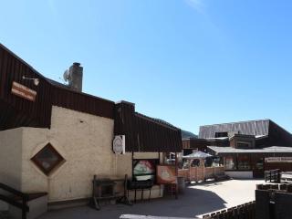 Studio skis aux pieds, 4 pers, terrasse ensoleillée, prox commerces et animations - FR-1-322-529 - Les Orres - 3