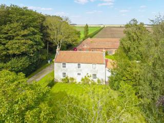Peaceful Farmhouse - Uk44787 - Grainthorpe - 9