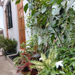 Susing Seaside Guesthouse - Moalboal - 5