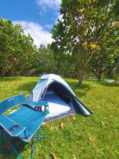Kaliraya Surf Kamp by Eco Hotels - Cavinti - 7