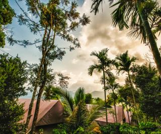 Grassroots Wayanad, Valley-view Tents - Vythiri - 0