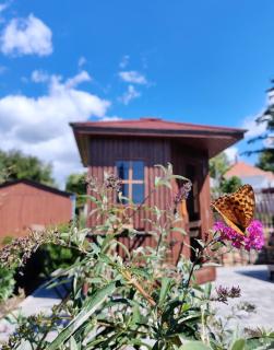 Pálffy59 Vendégház - 9