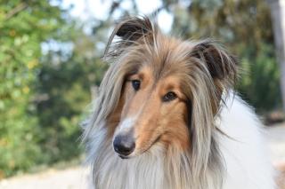 Tenuta Dei Vicini - Luxury Apartments - 1