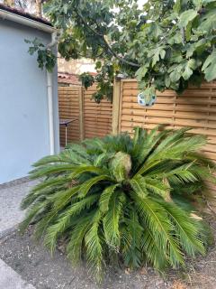 Studio - Marseille - 2