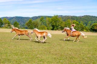 Hotel Freund - Privathotels Dr Lohbeck - 4