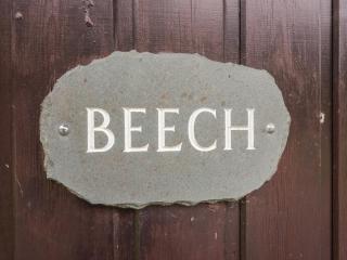 Beech Timber Lodge - 9
