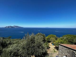 Apartment Giardino Caprese by Interhome - Massa Lubrense - 7