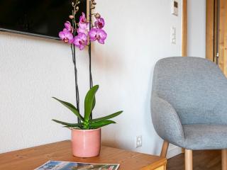 Apartment T-Resort La Tzoumaz 4p8 by Interhome - La Tzoumaz - 3