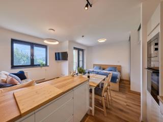 Studio Černý Důl-1 by Interhome - Černý Dŭl - 7