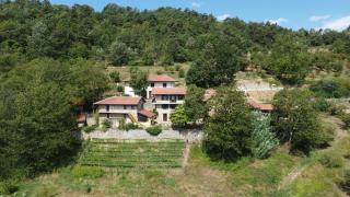 Agriturismo La Collina degli Scoiattoli - Cravanzana - 9