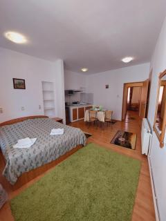 Pensiunea Rock and Red - 1