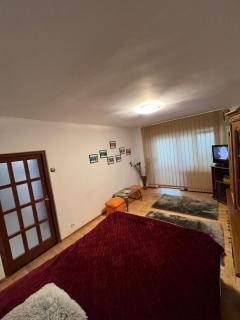 Apartament GABRIELA - Gura Humorului - 4