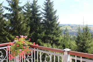 IN Hotel Zlatar ex Zlatarski Biseri - Nova Varoš - 1